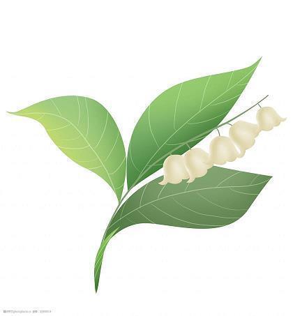 玛雅人神秘消失之谜