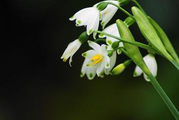一缕阳光