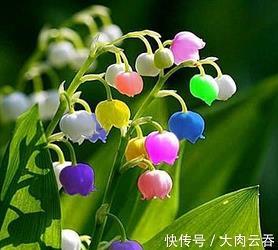 友情的珍贵