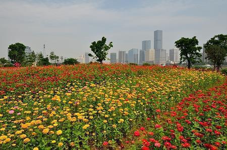 你润了华年