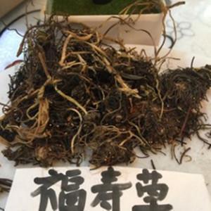 家有儿女