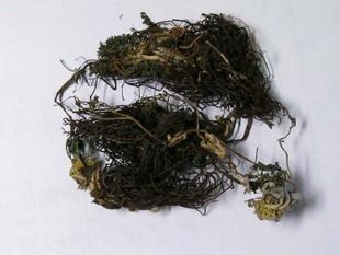 所谓的永恒