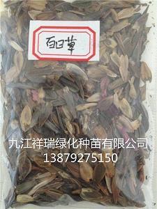 一份特别的礼物