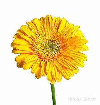 忘_小学生作文,六年级作文,六年级散文_田石柱完美作文