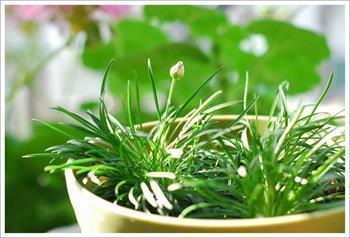 季节