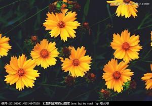 变废为宝，美丽平湖我来建