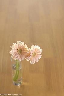 不要再痛