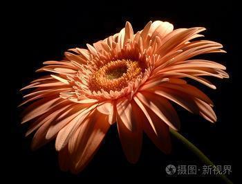 做最真的自己