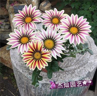 又到夕阳西下时