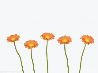 我喜欢你，小花