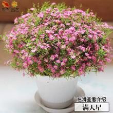 风筝飘走了