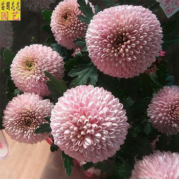 安全月我也来谈安全