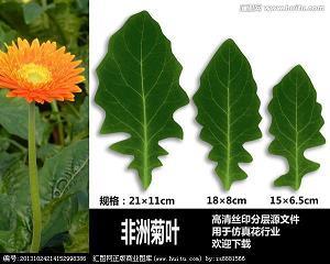 天堂