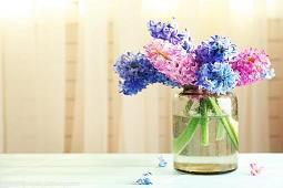 元宵节晨寻