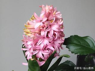 珍惜所拥有的爱