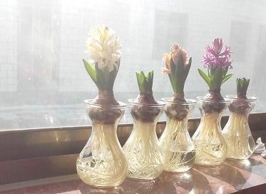 冷与热