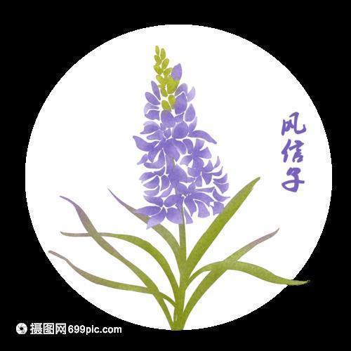 不期而遇
