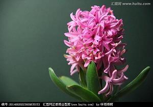 智能化分析