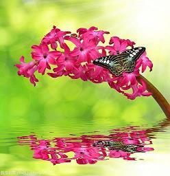 完美时空第一章锋芒初露