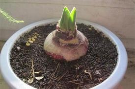 生气