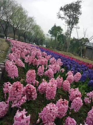 围绕中心意思写作文暖800字