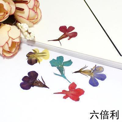 九年级以守护诚信为题的散文作文