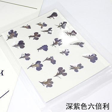 感恩母亲