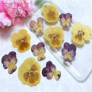 梦里花落知多少……