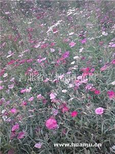 五·一游记