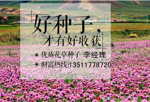 代沟