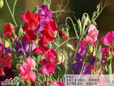 一粒米等同一滴汗水