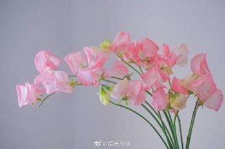 以直报怨以德报德