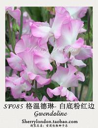 挖土豆