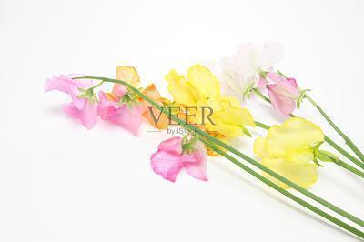 读《游褒禅山记》