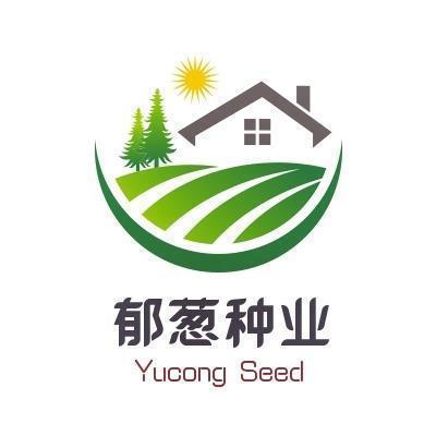 滑雪