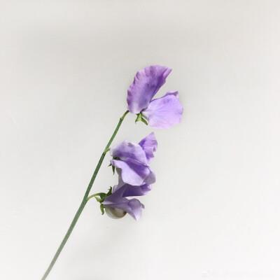 告别旧时光