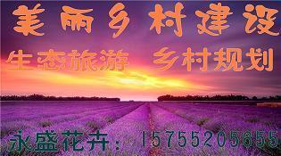随感