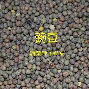 我好想
