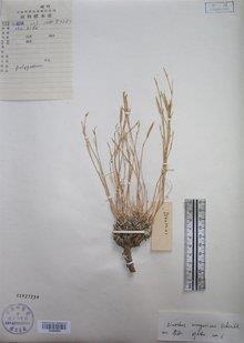 享受勇敢成长