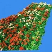 与快乐同行