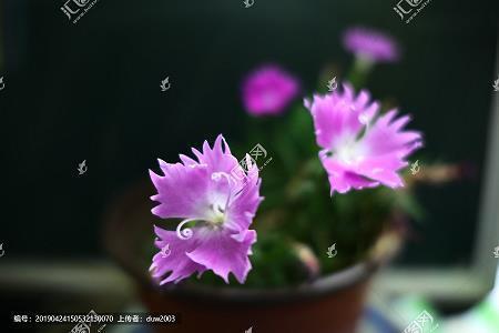 一件令我焦虑的事
