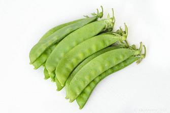 书为友伴我行