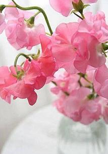 二年级教师节作文50字