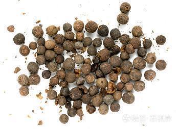 地震_初中生作文,初二作文,初二议论文_初二 俞茹曦完美作文