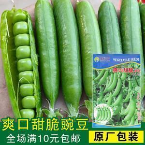 怎样的我
