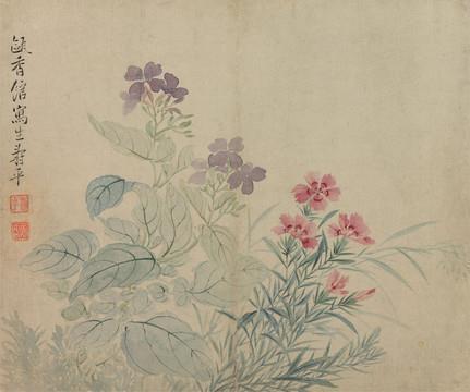 放飞思绪