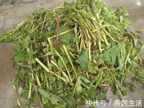 变形记拐杖