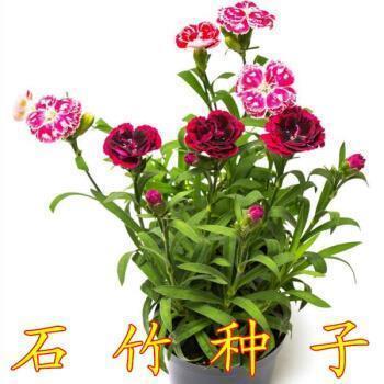 一场精彩的篮球赛