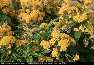 仰望悲伤的高度