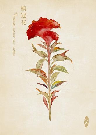 坚守的价值